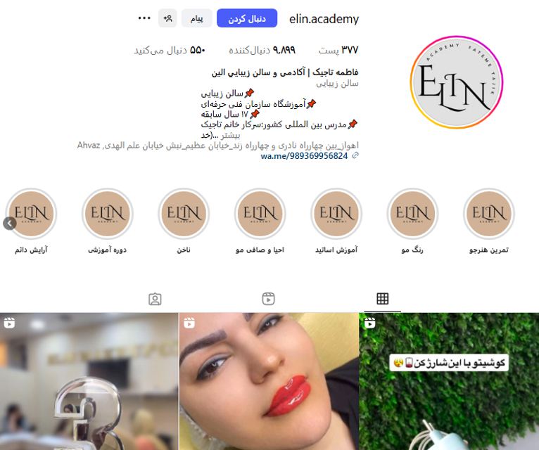 آکادمی الین
