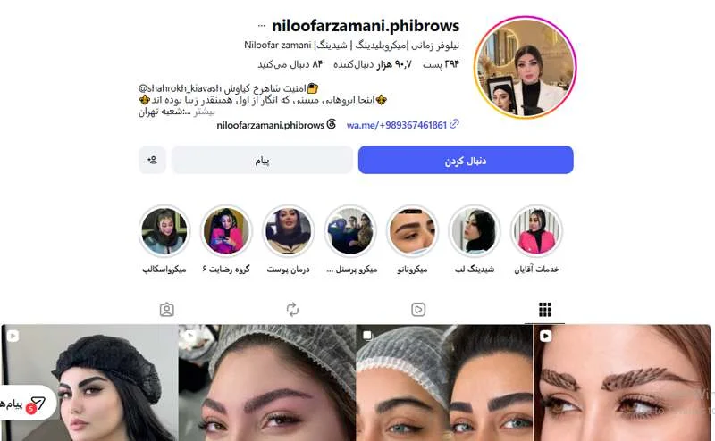 میکرو ابرو نیلوفر زمانی اهواز