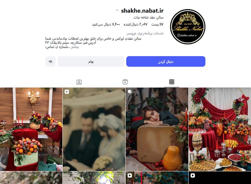 سالن عقد شاخه نبات