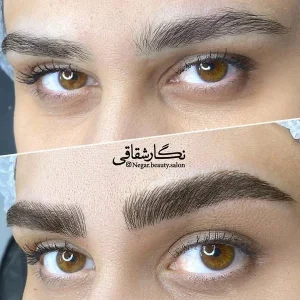 فیبروز نگار