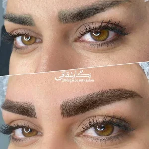 میکرو نگار
