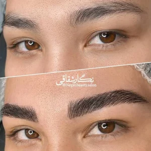 میکرو نگار شهریار